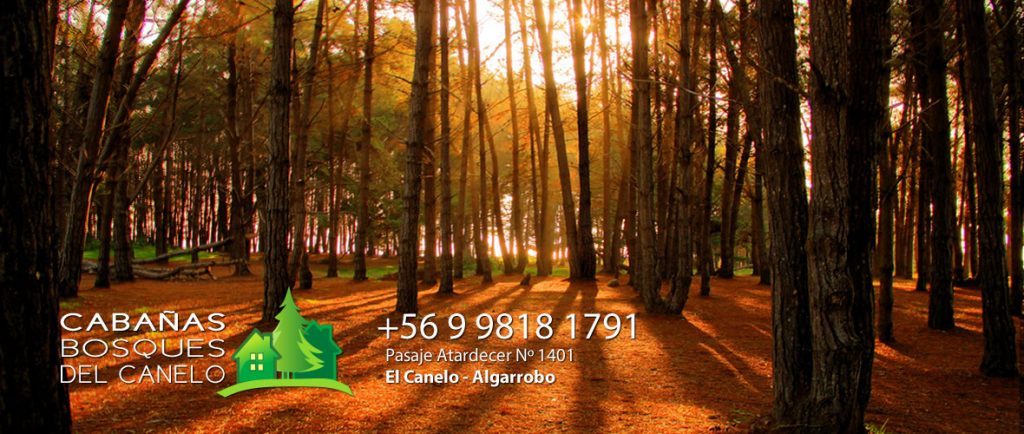 Cabañas Bosques del Canelo