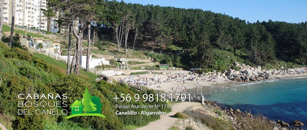 Cabañas Bosques del Canelo