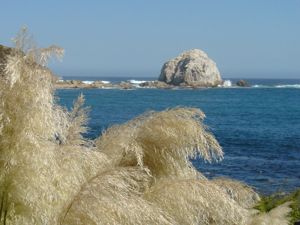 Cabañas Bosques del Canelo